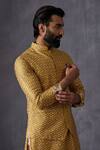 Arjan Dugal Yellow Chanderi Silk Embroidery Mustard Bundi at Aza Fashions Arjan Dugal_Yellow Chanderi Silk Embroidery Mustard Bundi _at_Aza_Fashions