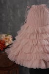 Casa Ninos_Pink Net, Crepe Layered Ruffled Dress _Online_at_Aza_Fashions
