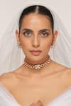 Swabhimann_Silver Plated Imitation Diamonds Polki Embellished Choker Necklace Set _Online_at_Aza_Fashions