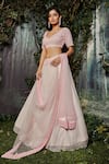 Shop_Kashmiraa_Pink Organza, Net Crystals V-neck Hand Embroidered Blouse Lehenga Set _at_Aza_Fashions