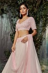 Kashmiraa_Pink Organza, Net Crystals V-neck Hand Embroidered Blouse Lehenga Set _Online_at_Aza_Fashions