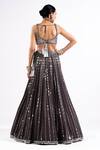 Shop_Vvani By Vani Vats_Grey Georgette, Satin, Organza Mirrors, Sequins Linear Drop Work Lehenga Set _at_Aza_Fashions