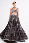 Vvani By Vani Vats_Grey Georgette, Satin, Organza Mirrors, Sequins Linear Drop Work Lehenga Set _Online_at_Aza_Fashions