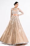 Vvani By Vani Vats_Beige Georgette, Satin, Organza Mirrors Linear Pattern Work Bridal Lehenga Set _Online_at_Aza_Fashions