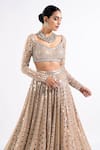 Buy_Vvani By Vani Vats_Beige Georgette, Satin, Organza Mirrors Linear Pattern Work Bridal Lehenga Set _Online_at_Aza_Fashions