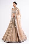 Vvani By Vani Vats_Beige Georgette, Satin, Organza Mirrors Linear Pattern Work Bridal Lehenga Set _at_Aza_Fashions