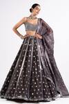 Buy Vvani By Vani Vats Grey Georgette, Satin, Organza Mirrors Scoop Neck Embroidered Lehenga Set at Aza Fashions Buy_Vvani By Vani Vats_Grey Georgette, Satin, Organza Mirrors Scoop Neck Embroidered Lehenga Set _at_Aza_Fashions