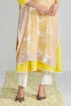 Buy_Neelu Sethi_Beige Cape Handloom Chanderi Embroidered Parsi Resham And Lace Work Kurta Set _Online_at_Aza_Fashions