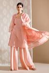 Buy_Bunka_Peach Voile Stripe Ezra Pattern Gharara_Online_at_Aza_Fashions