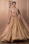 Shop_Tarun Tahiliani_Gold Crinkle Tulle Embroidered Crystal Straight Metallic Skirt With Blouse _Online_at_Aza_Fashions