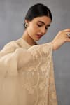 Buy_Torani_Beige , Silk Organza, Handloom Lace, Mradu Idaya Kurta Pant Set 