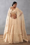 Buy_Torani_Beige Silk Organza Hand Mradu Advika Botanic Pattern Bridal Lehenga Set _at_Aza_Fashions