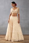 Torani_Beige Silk Organza Hand Mradu Advika Botanic Pattern Bridal Lehenga Set _Online_at_Aza_Fashions