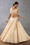 Buy_Torani_Beige Silk Organza Hand Mradu Advika Botanic Pattern Bridal Lehenga Set _Online_at_Aza_Fashions