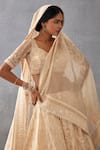 Torani_Beige Silk Organza Hand Mradu Advika Botanic Pattern Bridal Lehenga Set _at_Aza_Fashions