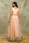 Alaya Advani_Peach Blouse Raw Silk Embroidery Thread Round Mirror Lehenga Set _Online_at_Aza_Fashions