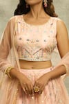 Shop_Alaya Advani_Peach Blouse Raw Silk Embroidery Thread Round Mirror Lehenga Set _at_Aza_Fashions