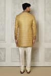 Shop_Aryavir Malhotra_Gold Jamewar Hand Embroidered Mandarin Collar Sherwani _at_Aza_Fashions