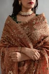 Shop_Ruar India_Brown Tissue Embroidered Marodi Sarson Zardozi Saree With Blouse _Online_at_Aza_Fashions