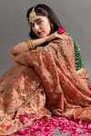 Buy_Ruar India_Brown Tissue Embroidered Marodi Sarson Zardozi Saree With Blouse 