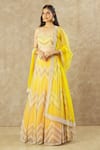 Keerthi Kadire_Yellow Net Hand Embroidered Pearl Sweetheart Neck Blouse Bridal Lehenga Set _Online_at_Aza_Fashions