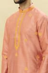 Shop_Samyukta Singhania_Orange Silk Plain Floral Booti Embroidered Kurta Patiala Set _Online_at_Aza_Fashions