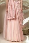 Buy_1999ad By Amita & Deepak_Pink Organza Cut Work, Embroidery, Sequins High Neck Calyx Lehenga And Blouse Set _Online_at_Aza_Fashions