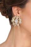 Buy_Ae-Tee_Gold Plated Crystal Tassel Earrings _at_Aza_Fashions