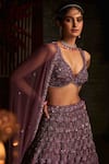 Buy_Annus Creation_Purple Net Hand Embroidered Cut Dana Plunge V Neck Bridal Lehenga Set _Online_at_Aza_Fashions