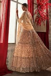 Annus Creation_Peach Net Hand Embroidered Cut Dana V Neck Anarkali Lehenga Set _Online_at_Aza_Fashions