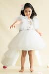 Ruchika Lath Label_White Tulle, Brocade Sequins Unicorn Embellished Yoke Dress _at_Aza_Fashions