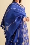 Shop_Kameez_Blue Chanderi, Muslin Embroidery, Gota Patti, Tassels Round Kurta Sharara Set _Online_at_Aza_Fashions