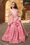 Buy_FAYON KIDS_Pink Lucknowi Fabric Embroidered Sequin Lehenga Set_at_Aza_Fashions