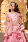 Shop_FAYON KIDS_Pink Lucknowi Fabric Embroidered Sequin Lehenga Set_at_Aza_Fashions