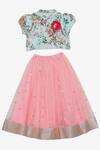 Shop_Saka Designs_Pink Cotton Embroidered Lehenga Set  