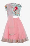 Saka Designs_Pink Cotton Embroidered Lehenga Set  _Online