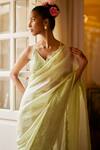 Shop_PUNIT BALANA_Green Organza Silk Embroidery Floral V Neck Resham Border Saree With Blouse _at_Aza_Fashions