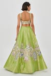 Shop_Aisha Rao_Green Tissue Saira And Crystal Embellished 10 Kali Bridal Lehenga Set  _at_Aza_Fashions