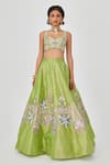 Aisha Rao_Green Tissue Saira And Crystal Embellished 10 Kali Bridal Lehenga Set  _Online_at_Aza_Fashions