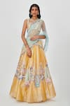 Buy_Aisha Rao_Yellow Tissue Applique Nasima Bloom 10 Kali Bridal Lehenga Set  _at_Aza_Fashions