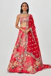 Buy_Aisha Rao_Pink Satin Embellished Floral Zahra 10 Kali Bridal Lehenga Set  _at_Aza_Fashions