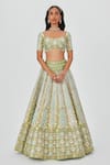 Aisha Rao_Green Tissue Embellished Floral Ziba 12 Kali Bridal Lehenga Set  _Online_at_Aza_Fashions