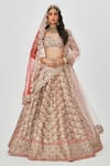 Buy_Aisha Rao_Brown Tissue Embroidered Floral Tara 12 Kali Bridal Lehenga Set  _at_Aza_Fashions