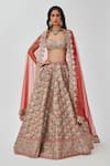 Shop_Aisha Rao_Brown Tissue Embroidered Tara Flower 16 Kali Bridal Lehenga Set  _at_Aza_Fashions