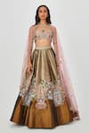 Buy_Aisha Rao_Gold Tissue Embroidered Floral Gulshan 10 Kali Bridal Lehenga Set  _at_Aza_Fashions