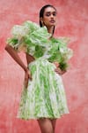Buy_Pankaj & Nidhi_Green Organza Printed And Embellished Abstract Jane & Yoke Dress _at_Aza_Fashions