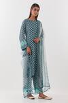 Amisha Kothari_Blue Cotton, Organza, Zari, Madumati Stripe Pattern Straight Kurta Set _Online_at_Aza_Fashions