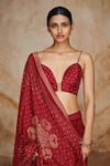 Label Varsha_Red Viscose Uppada Printed And Woven Bandhani & Zari Stripe Lehenga Set_Online_at_Aza_Fashions