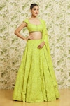 Shop_Mishru_Green Lehenga And Dupatta Organza Embroidery 3d Dense Bridal Set _Online_at_Aza_Fashions