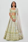 Buy_Aisha Rao_Green Tissue Embroidered Sequin Ziba 16 Kali Bridal Lehenga Set  _at_Aza_Fashions